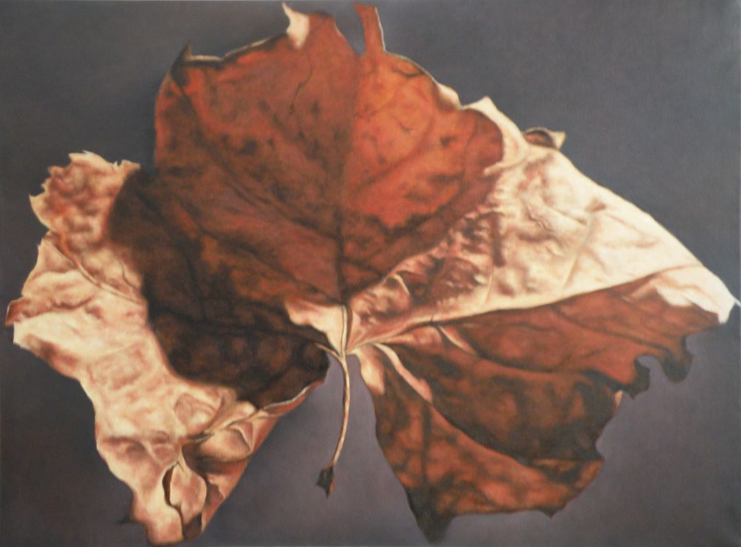 Leaf, oil-can, 36x48.JPG