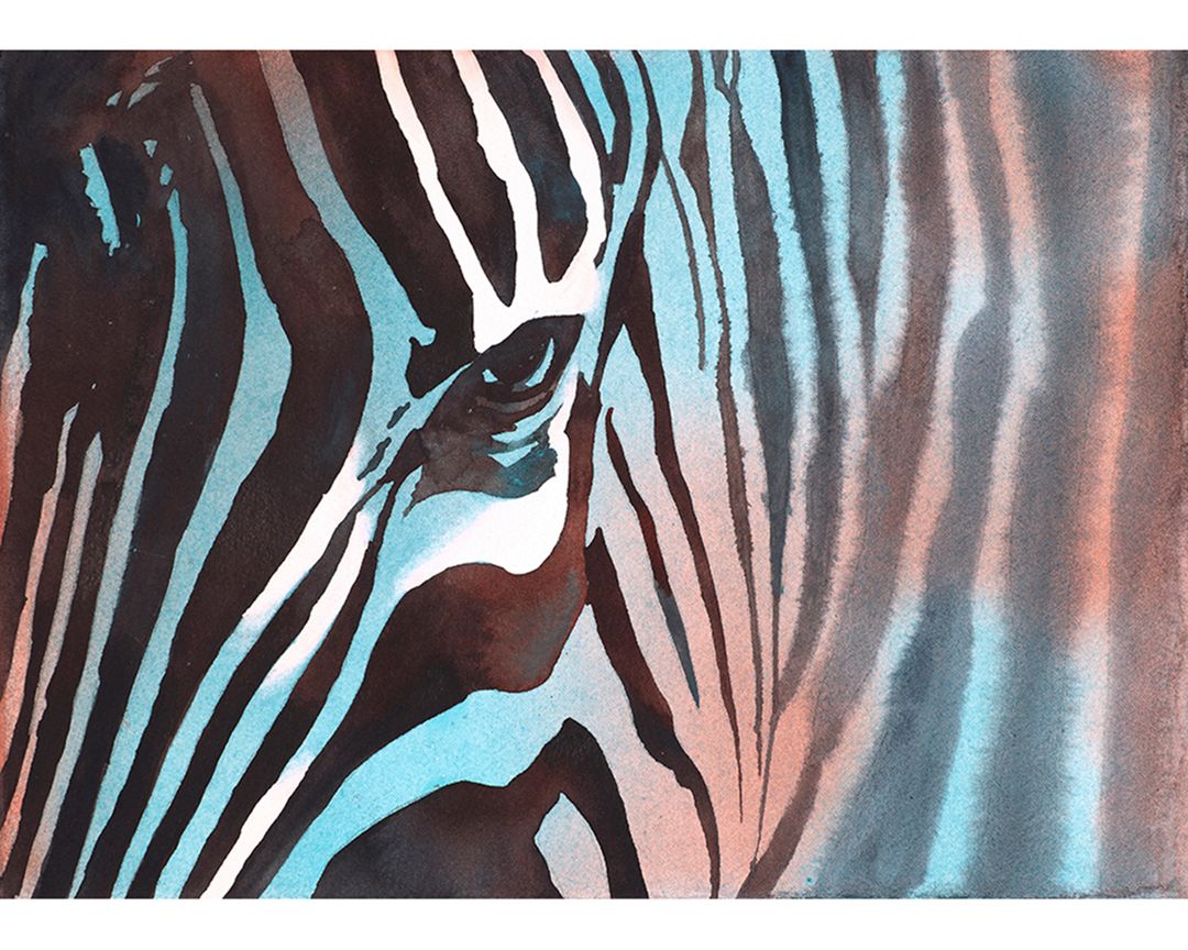 Zebra II.jpg