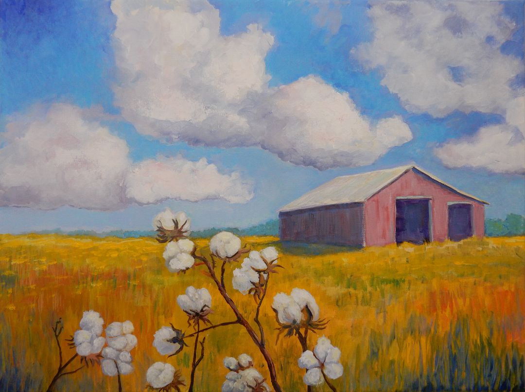 Cotton and Clouds.JPG