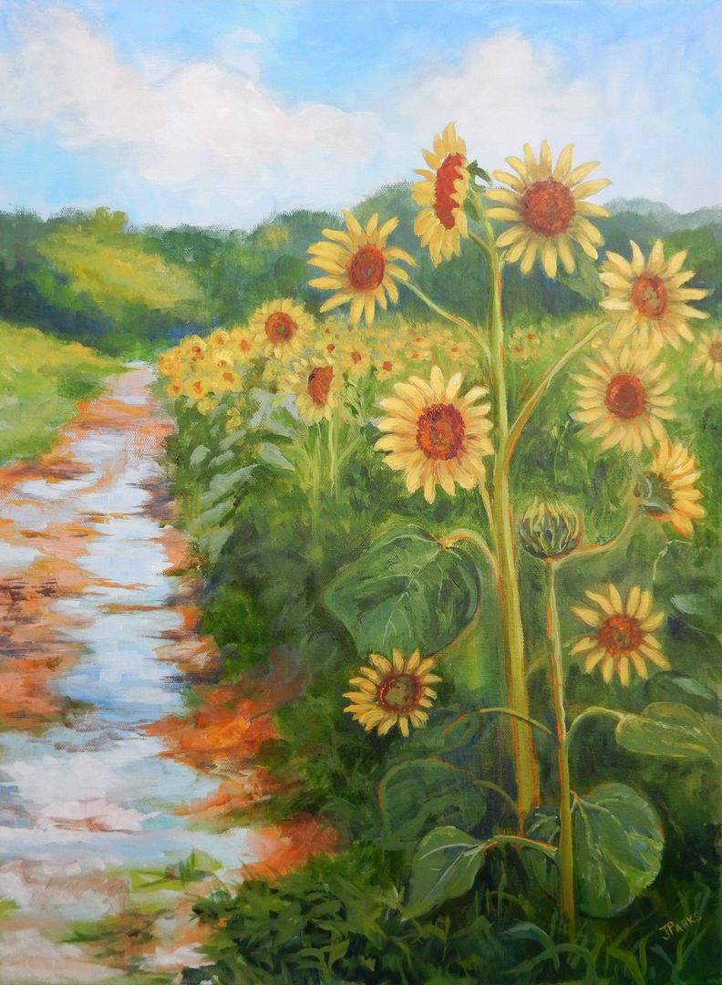 Sunflowers and Puddles.JPG