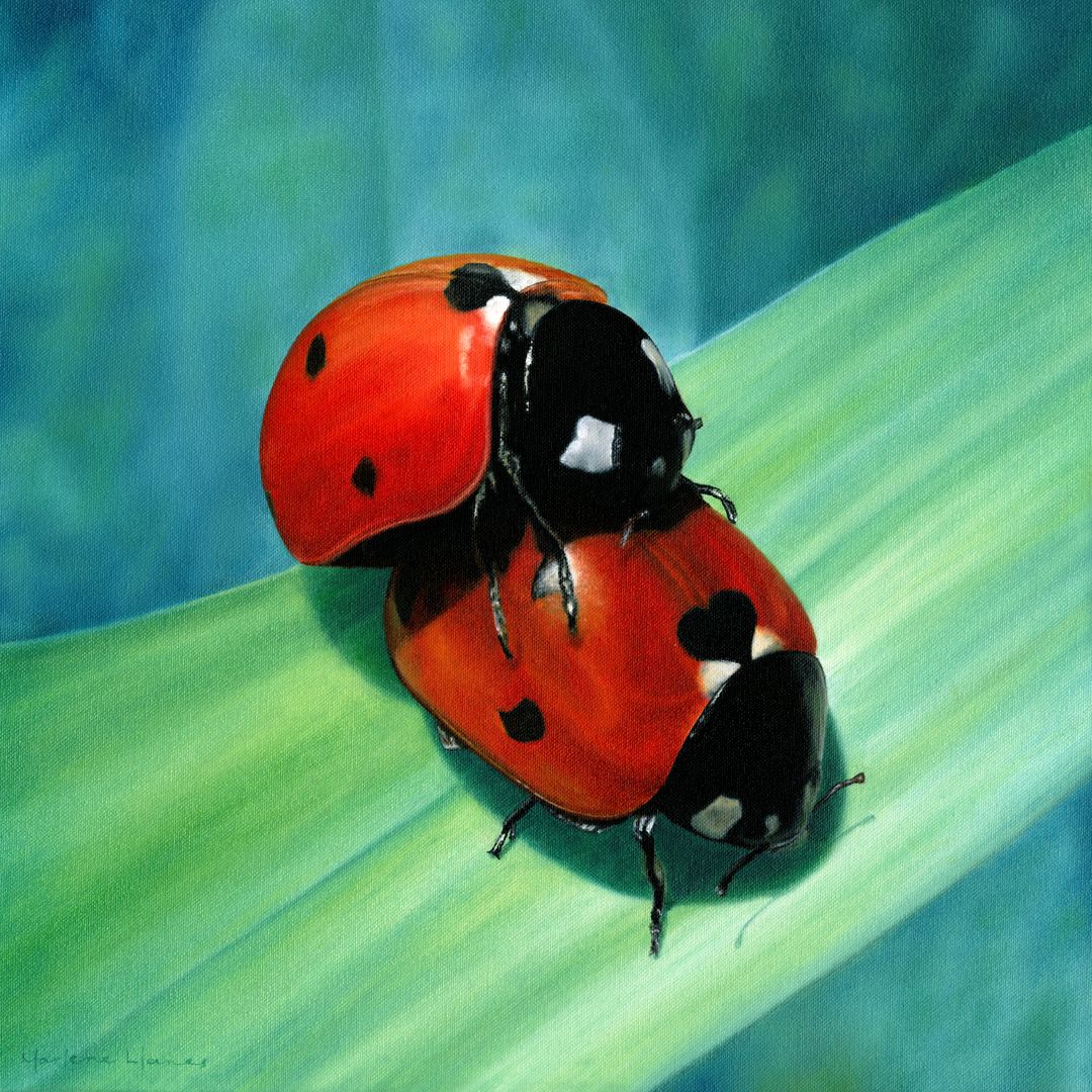ladybugs-love-painting-2.jpg