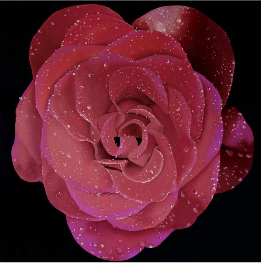 Rose Under the Rain.jpg