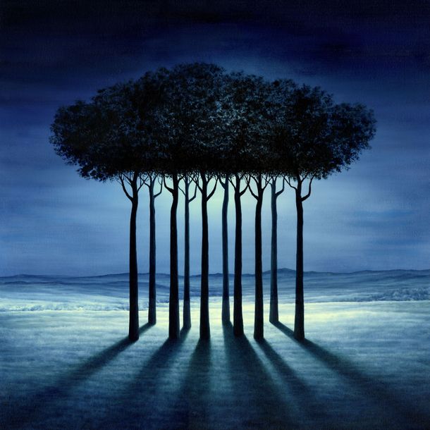 blue-trees-surreal-landscape-nature-shadows-1.jpg